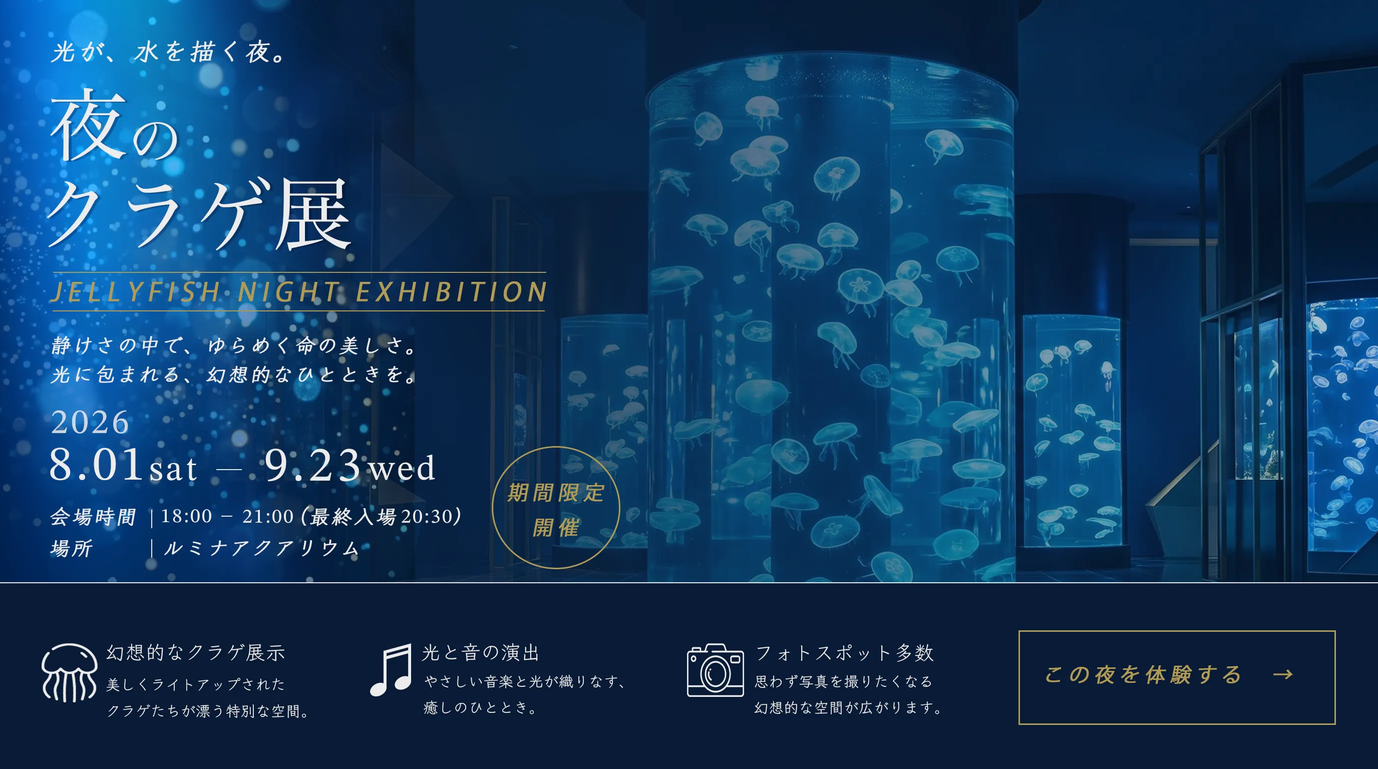 夜のクラゲ展バナー