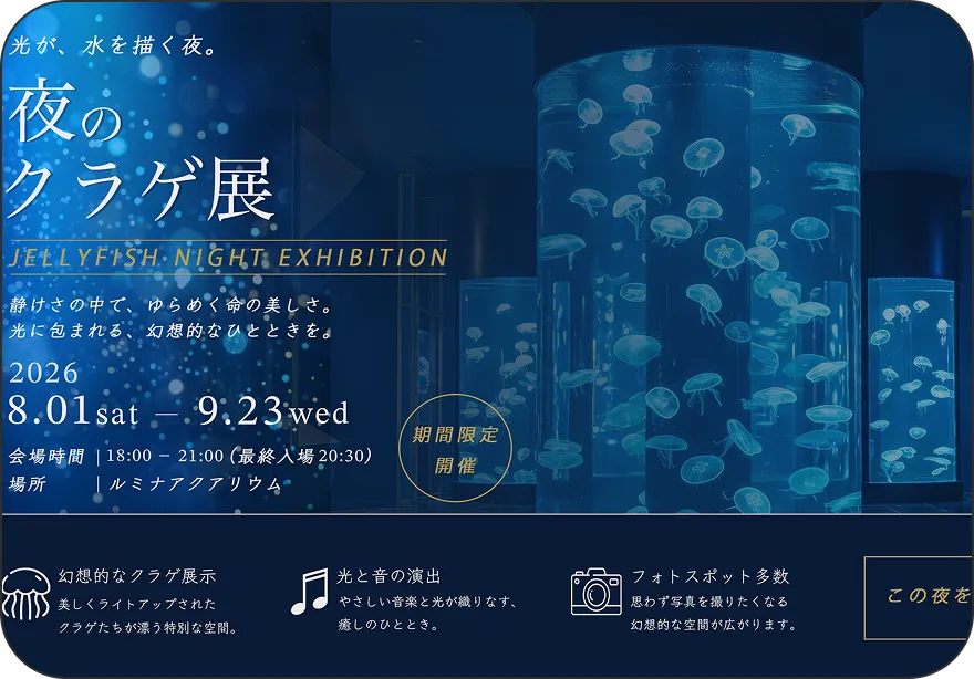 夜のクラゲ展